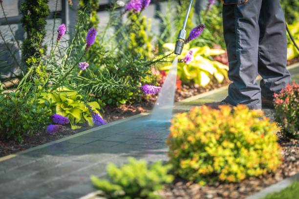 Best Animal Enclosure Cleaning  in Castle Hills, TX