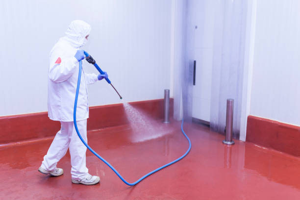 Trusted Castle Hills, TX  Pressure Washing Services Experts