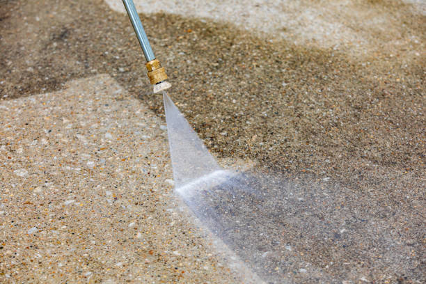Animal Enclosure Cleaning in Castle Hills, TX